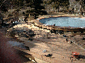 iris pool 50.gif